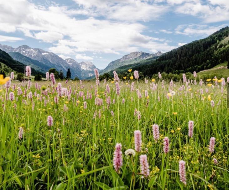 Hotel Alpina Kleinarl Luaran gambar
