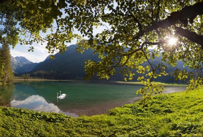 Hotel Alpina Kleinarl Luaran gambar