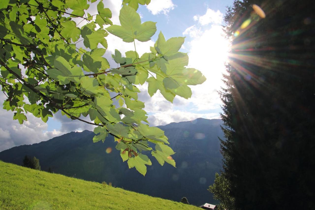 Hotel Alpina Kleinarl Luaran gambar