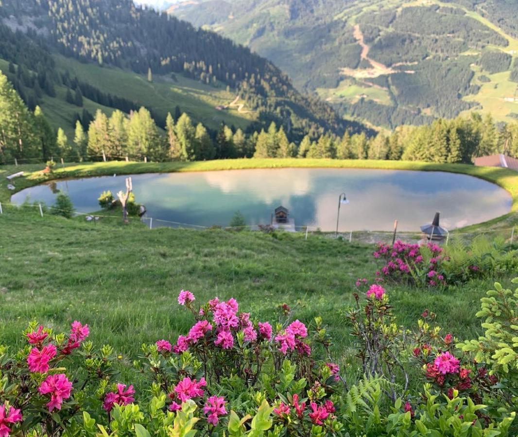 Hotel Alpina Kleinarl Luaran gambar